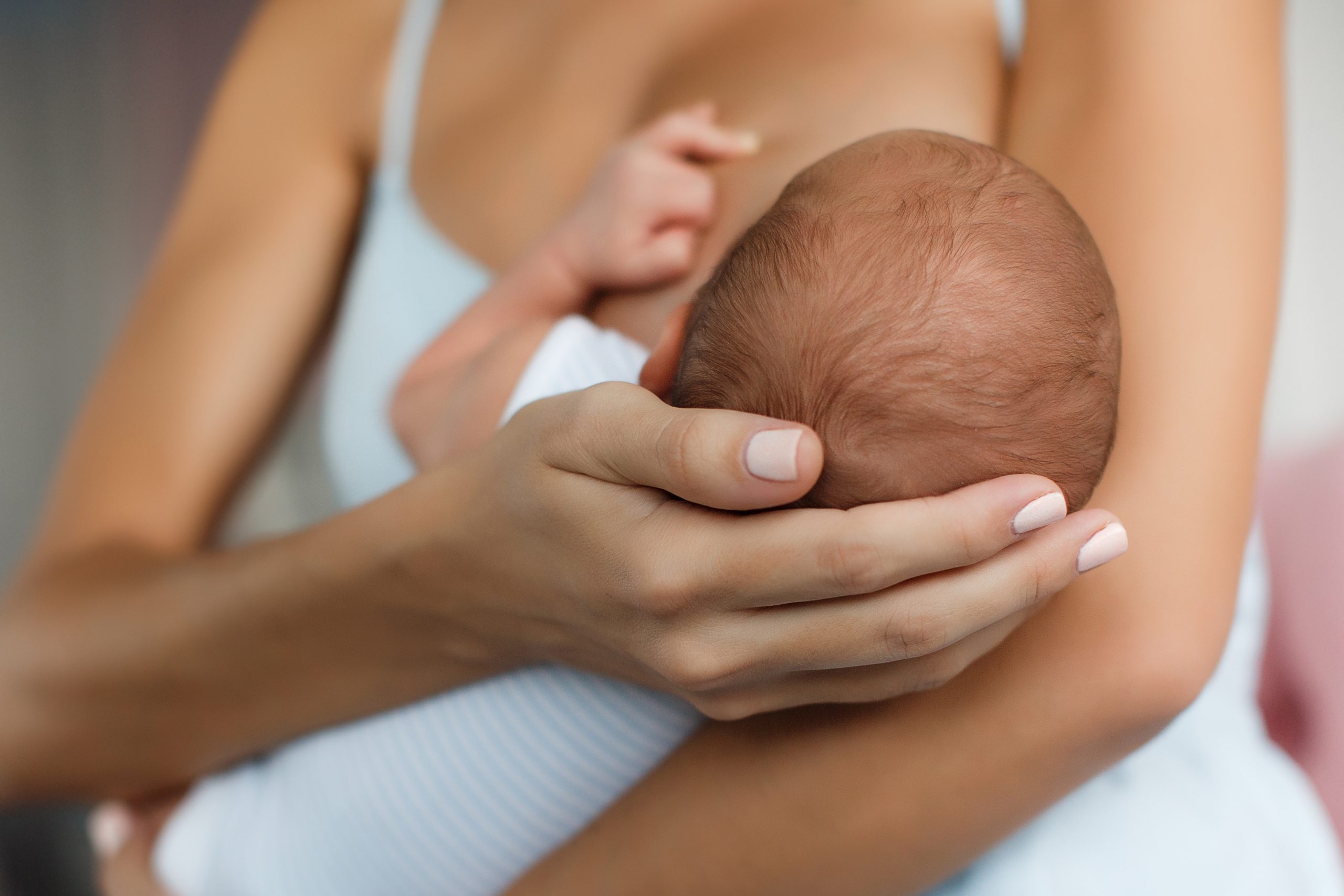 Mother,Breastfeeding,Her,Newborn,Baby,Beside,Window.,Milk,From,Mother’s
